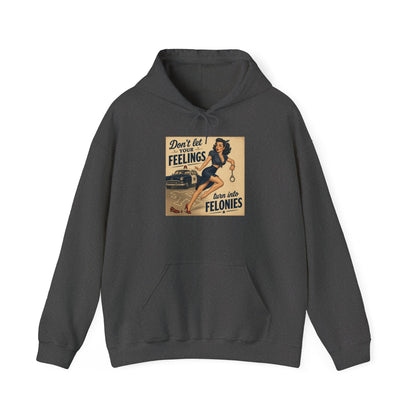 Retro Pin-Up 'Don't Let Your Feelings Become Felonies' Hoodie