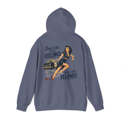 "Don't Let Your Feelings Turn Into Felonies" Retro Pin-Up Hoodie