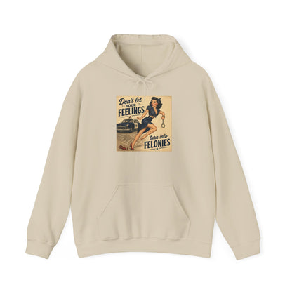 Retro Pin-Up 'Don't Let Your Feelings Become Felonies' Hoodie