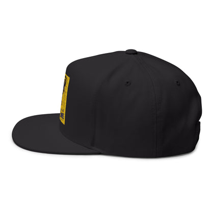 Felony Pinup Cap