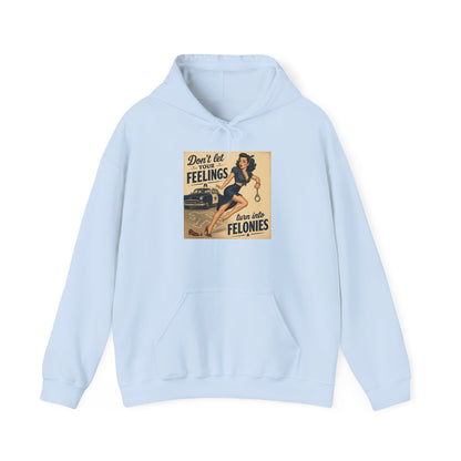 Retro Pin-Up 'Don't Let Your Feelings Become Felonies' Hoodie